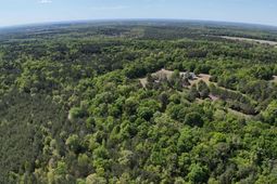 146 Williams Road photo 4