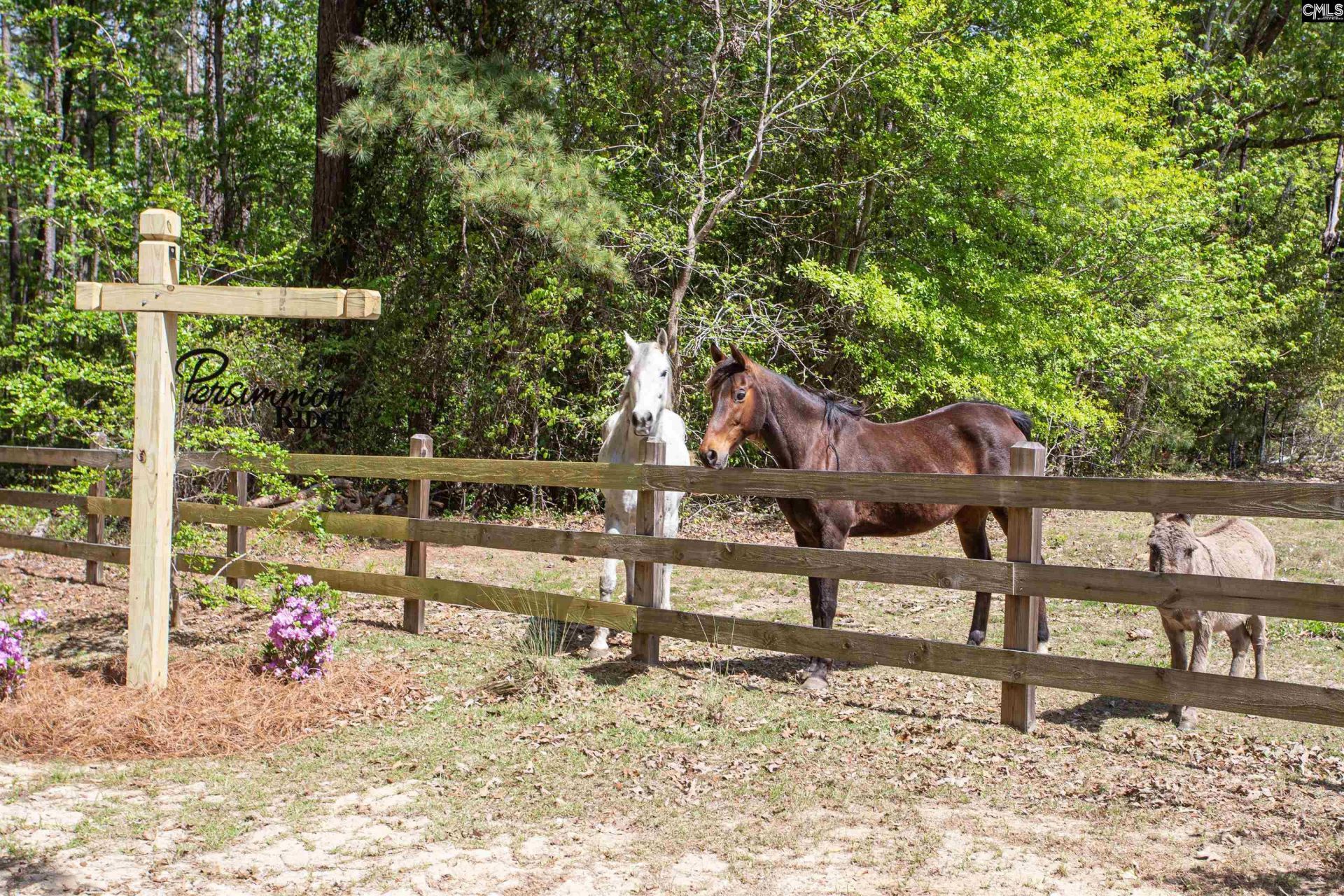 146 Williams Road Photo 52