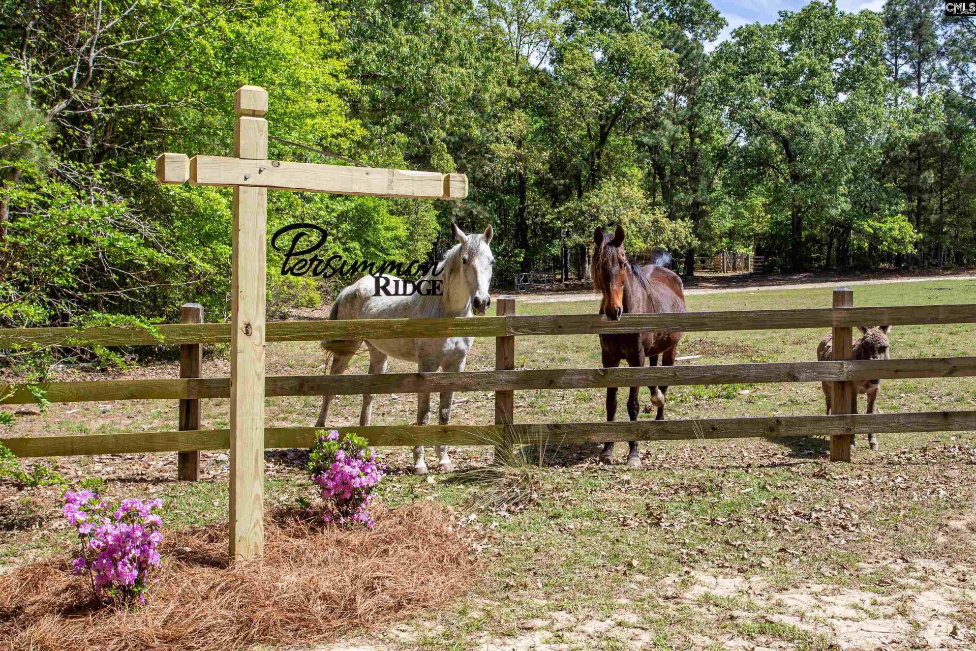 146 Williams Road  Photo 53