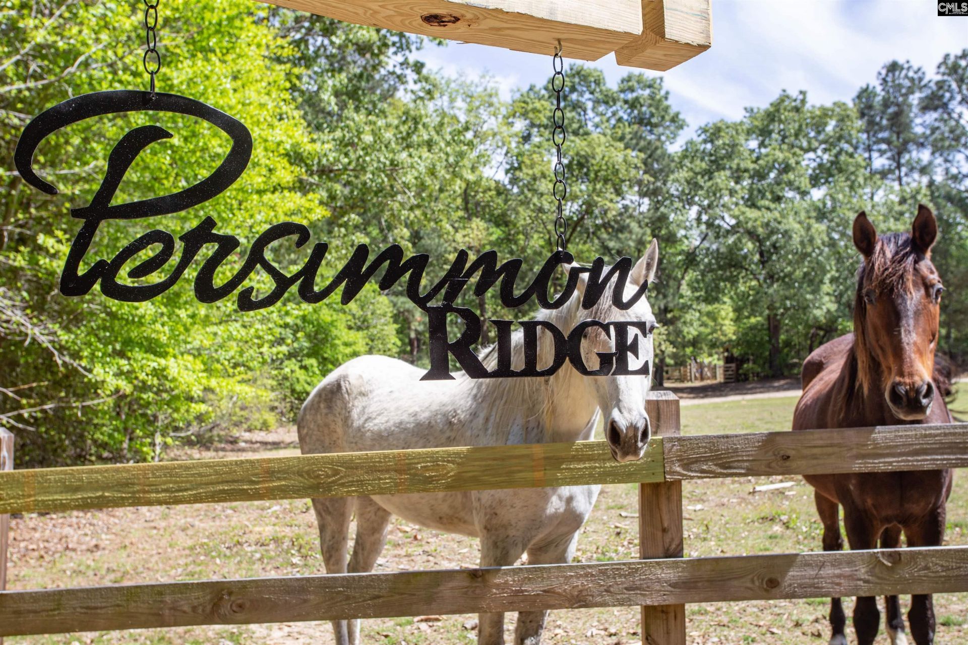 146 Williams Road  Photo 54