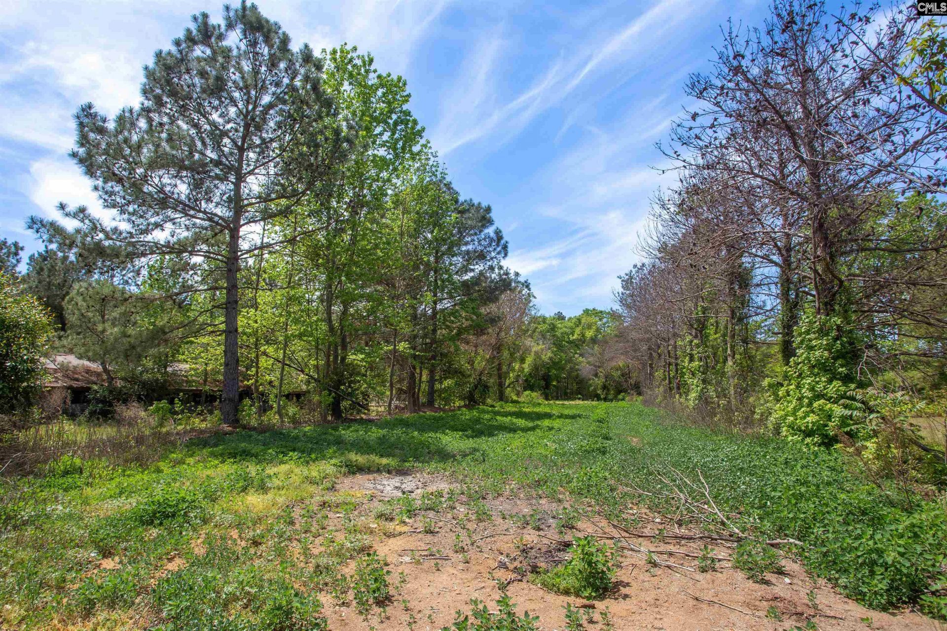 146 Williams Road  Photo 58