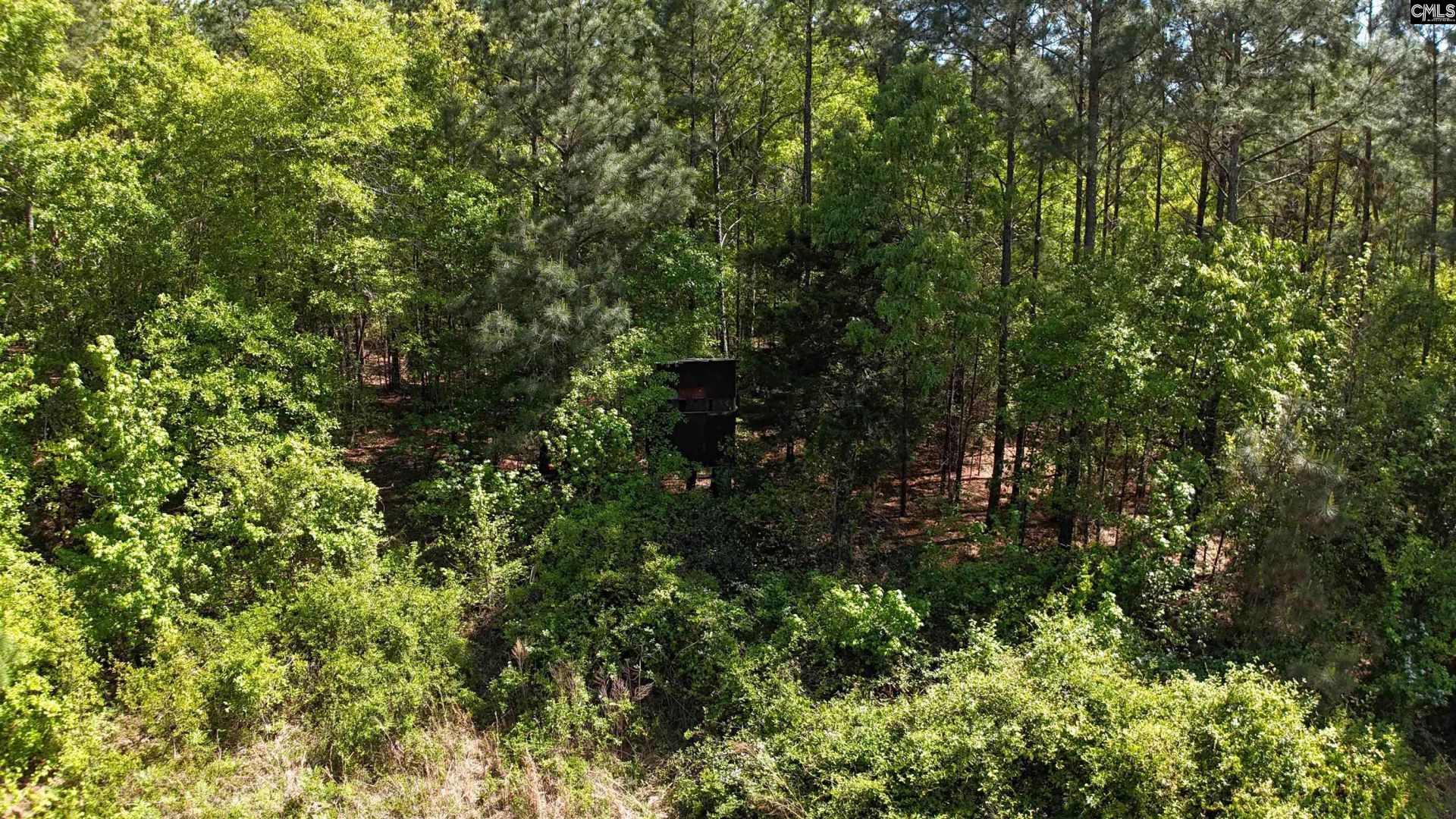 146 Williams Road  Photo 70