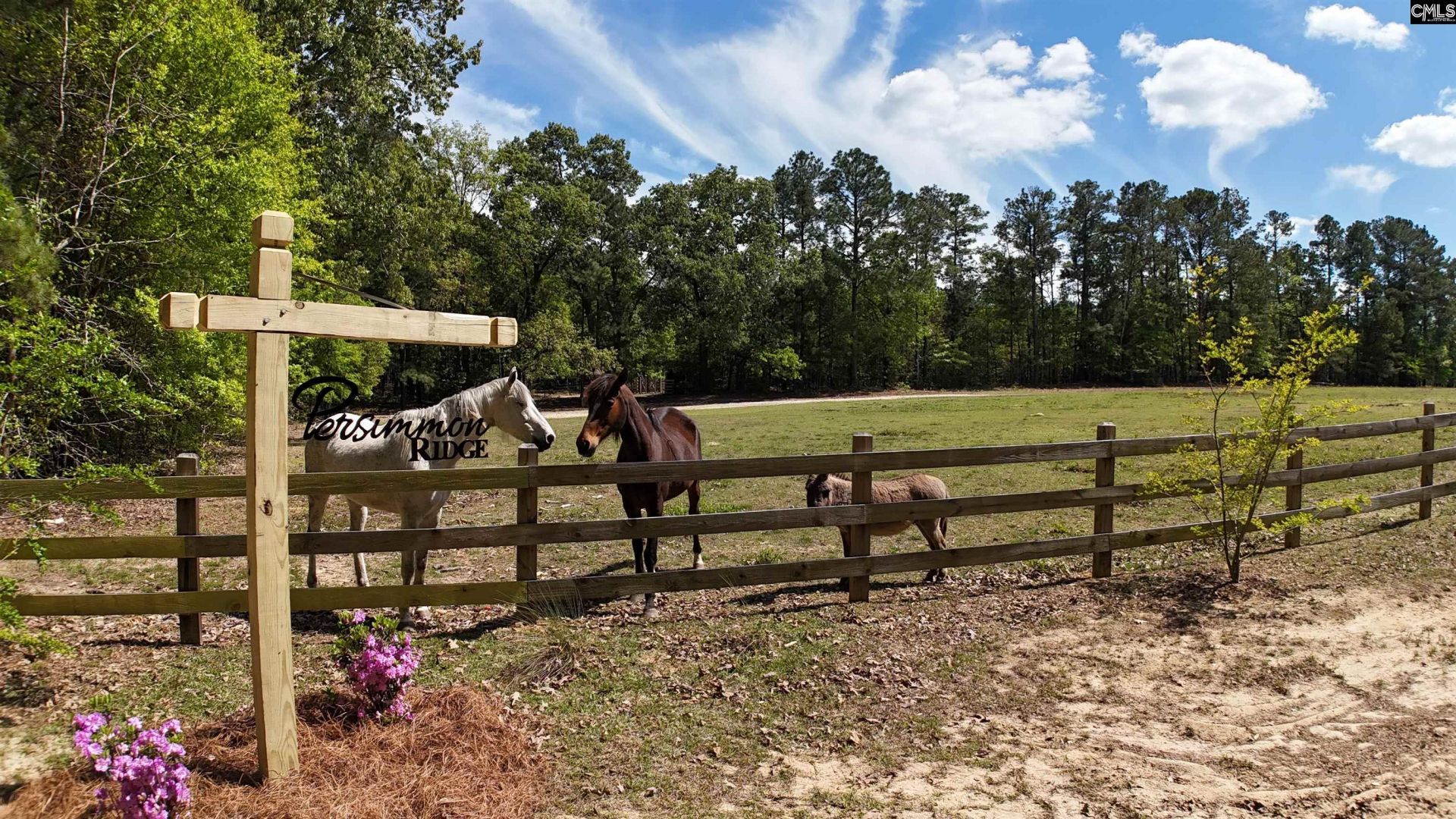 146 Williams Road Photo 74