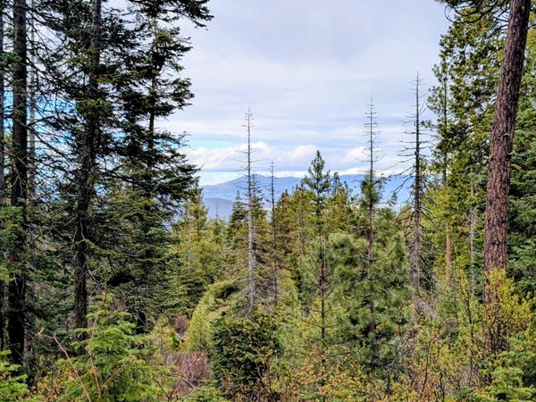 Beaver Lane, Unit 46 & 47, Bonanza, OR 97623