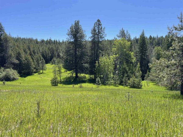 4435 Whittier (Lot 2) Rd, Clayton, WA 99110