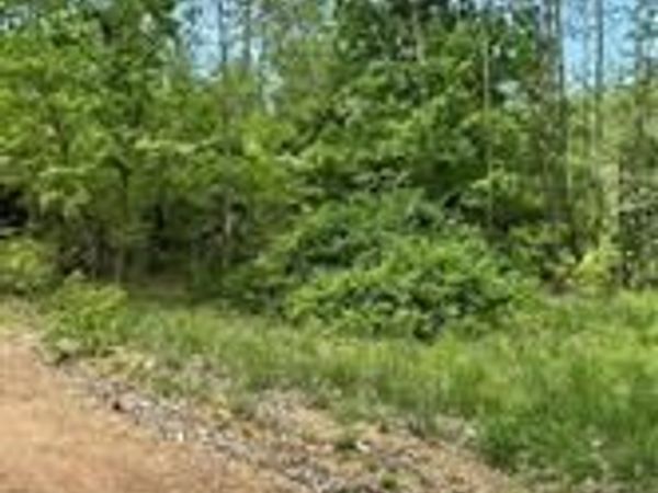 Arabian Drive , Rogers, AR 72756