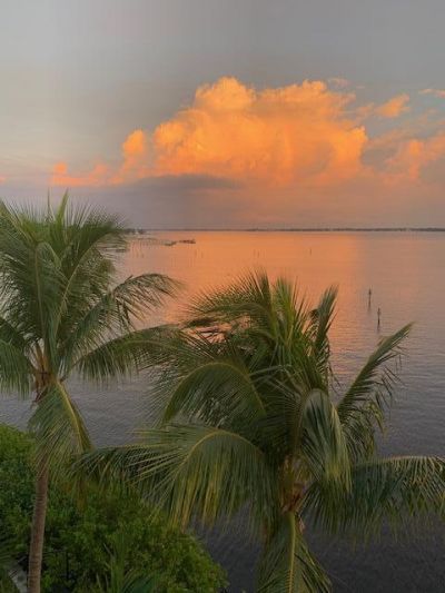 975 NW Flagler Avenue, Unit 403, Stuart, FL 34994 Photo