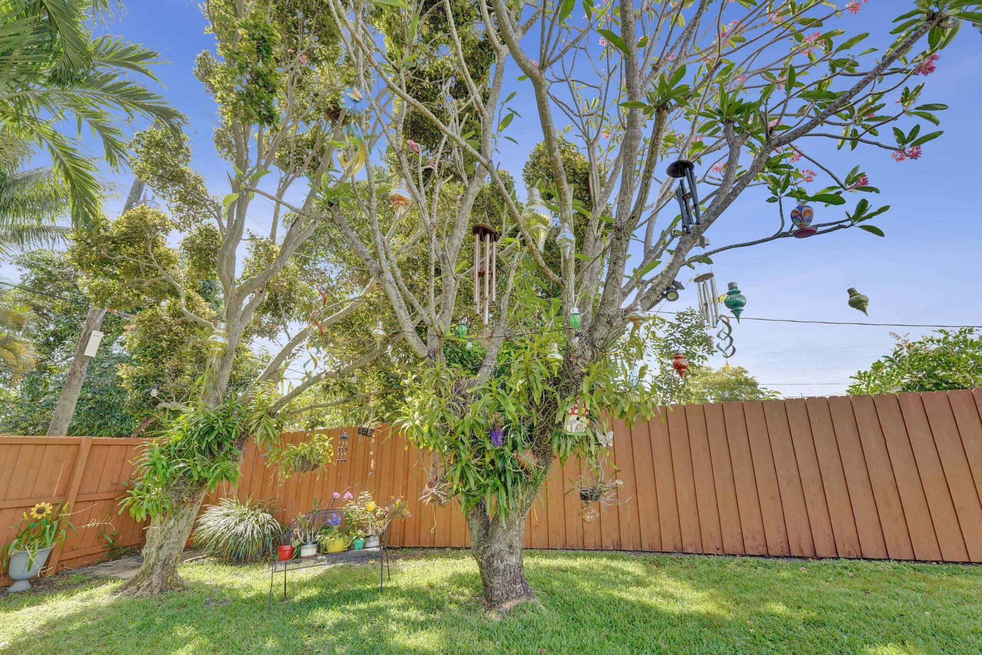 1921 N 49th Avenue, Hollywood, FL 33021 Photo