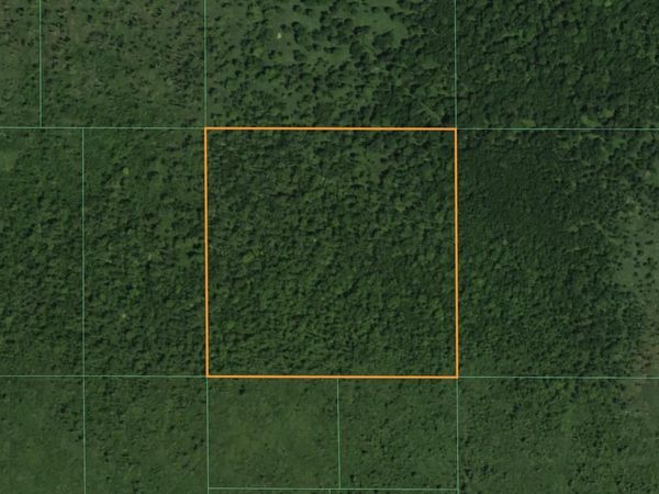 Lt1 STATE HIGHWAY 49, Pine River, WI 54965