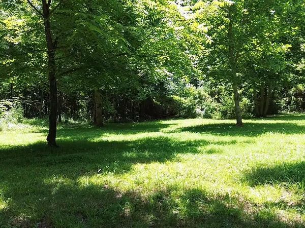 182 Nydeck Rd, Robbins, TN 37852