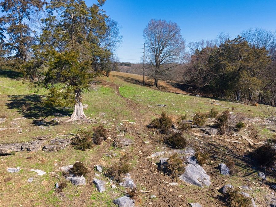 Property Image 35