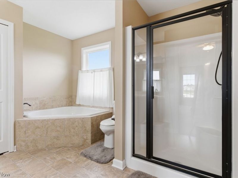 6347 Livia Lane, Medina, OH 44256 Photo 28