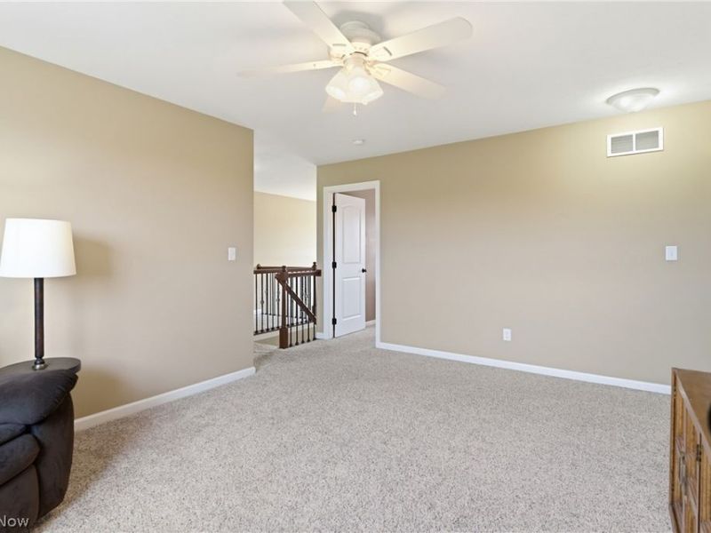 6347 Livia Lane, Medina, OH 44256 Photo 32