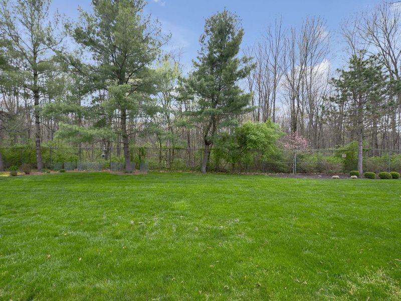 4953 Blendon Pond Drive, Westerville, OH 43081 Photo 34