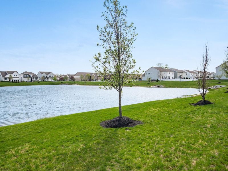 6862 Morningside Heights Place, Westerville, OH 43081 Photo 33