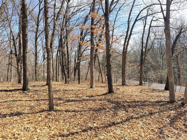 Lot 6 Big Lake Drive, Osceola, WI 54020