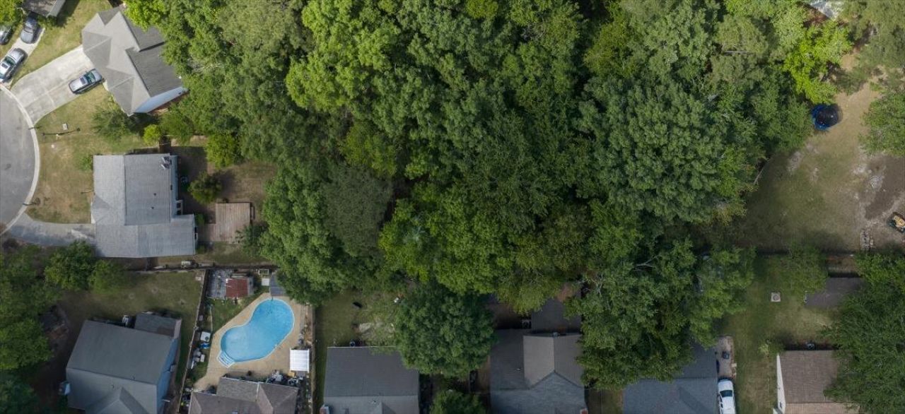 8467 Walsham Street Photo 41