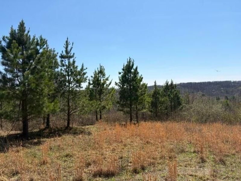 66263 Old Shurtz Road, New Plymouth, OH 45654 Photo 10