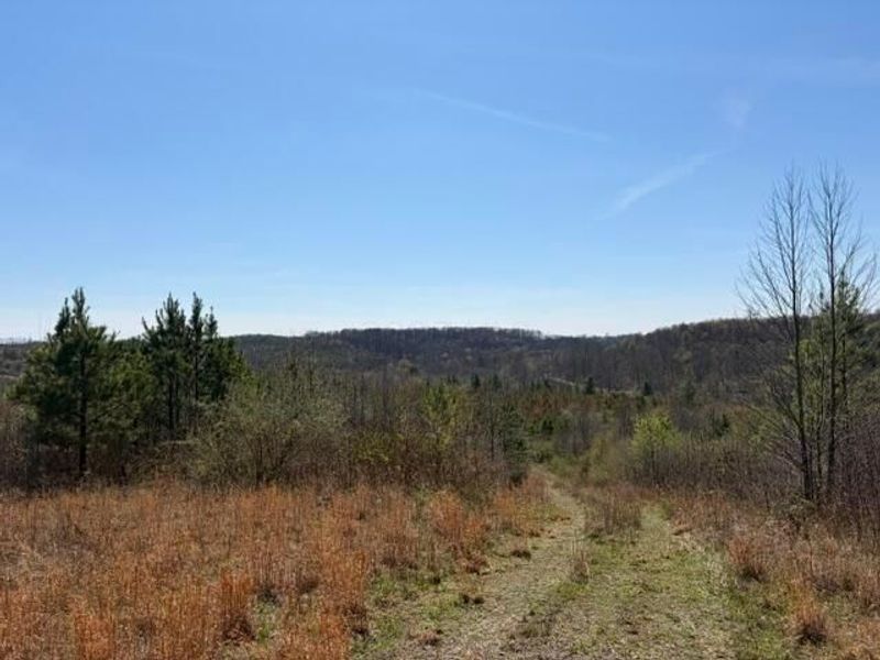 66263 Old Shurtz Road, New Plymouth, OH 45654 Photo 2