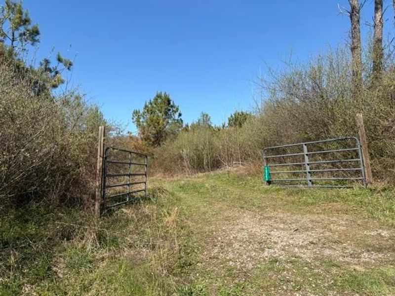 66263 Old Shurtz Road, New Plymouth, OH 45654 Photo 3