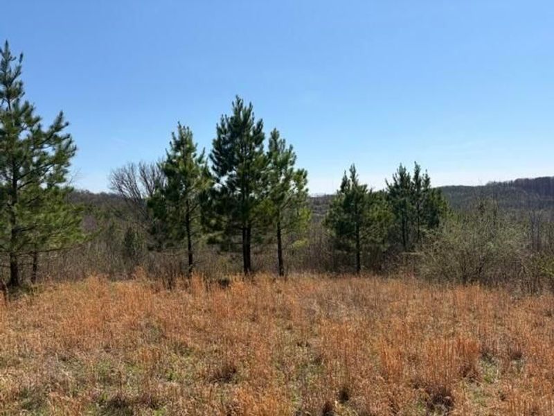 66263 Old Shurtz Road, New Plymouth, OH 45654 Photo 4