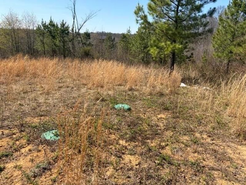 66263 Old Shurtz Road, New Plymouth, OH 45654 Photo 9