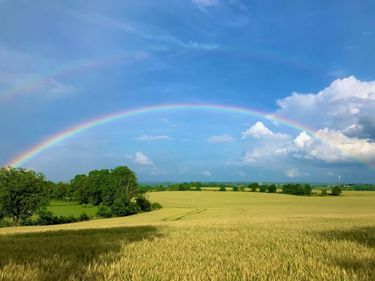 1330 Curry Pike, Harrodsburg, KY 40330