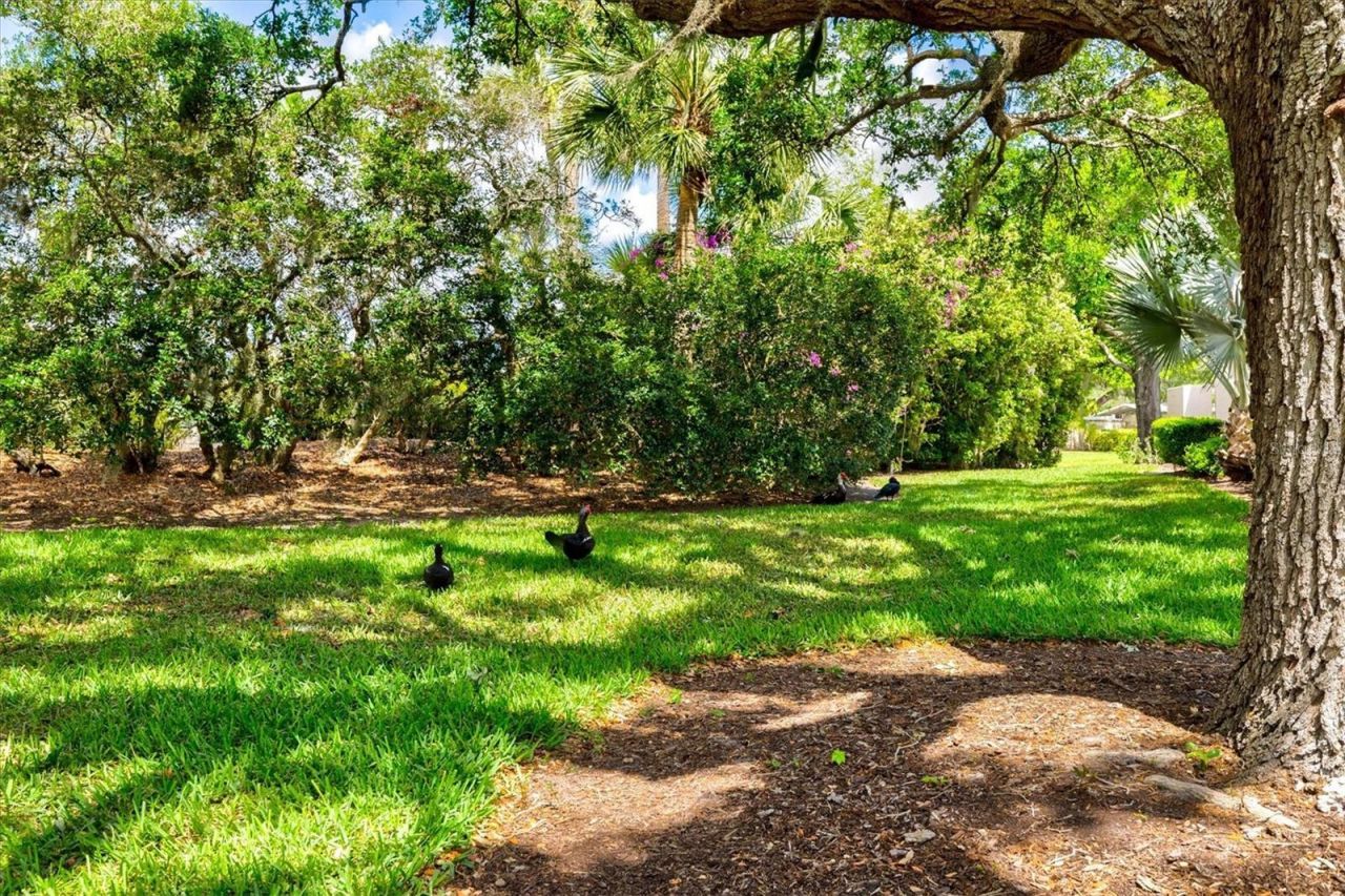 4566 Hidden View Place, Unit 7, Sarasota, FL 34235 Photo