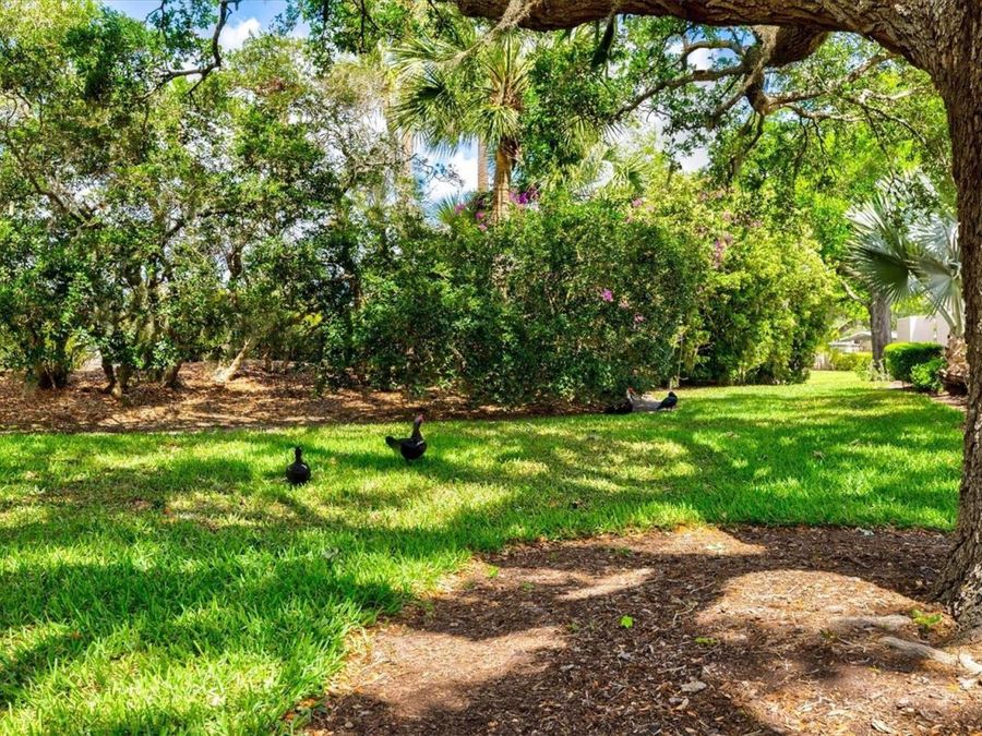 Property Image 56