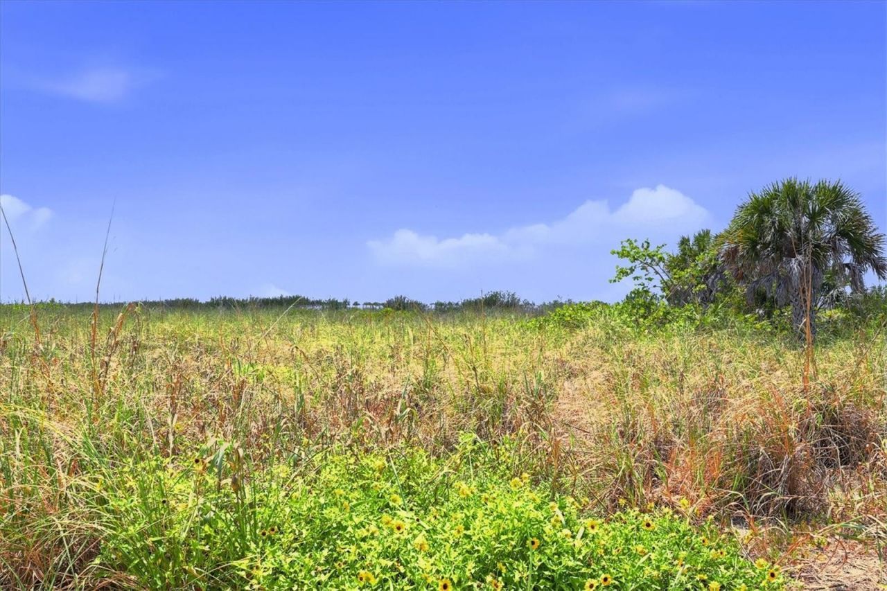 6950 Palm Island Drive, Placida, FL 33946 Photo