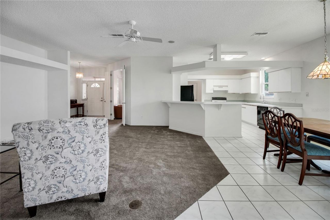333 Ranchwood Drive, Leesburg, FL 34748 Photo