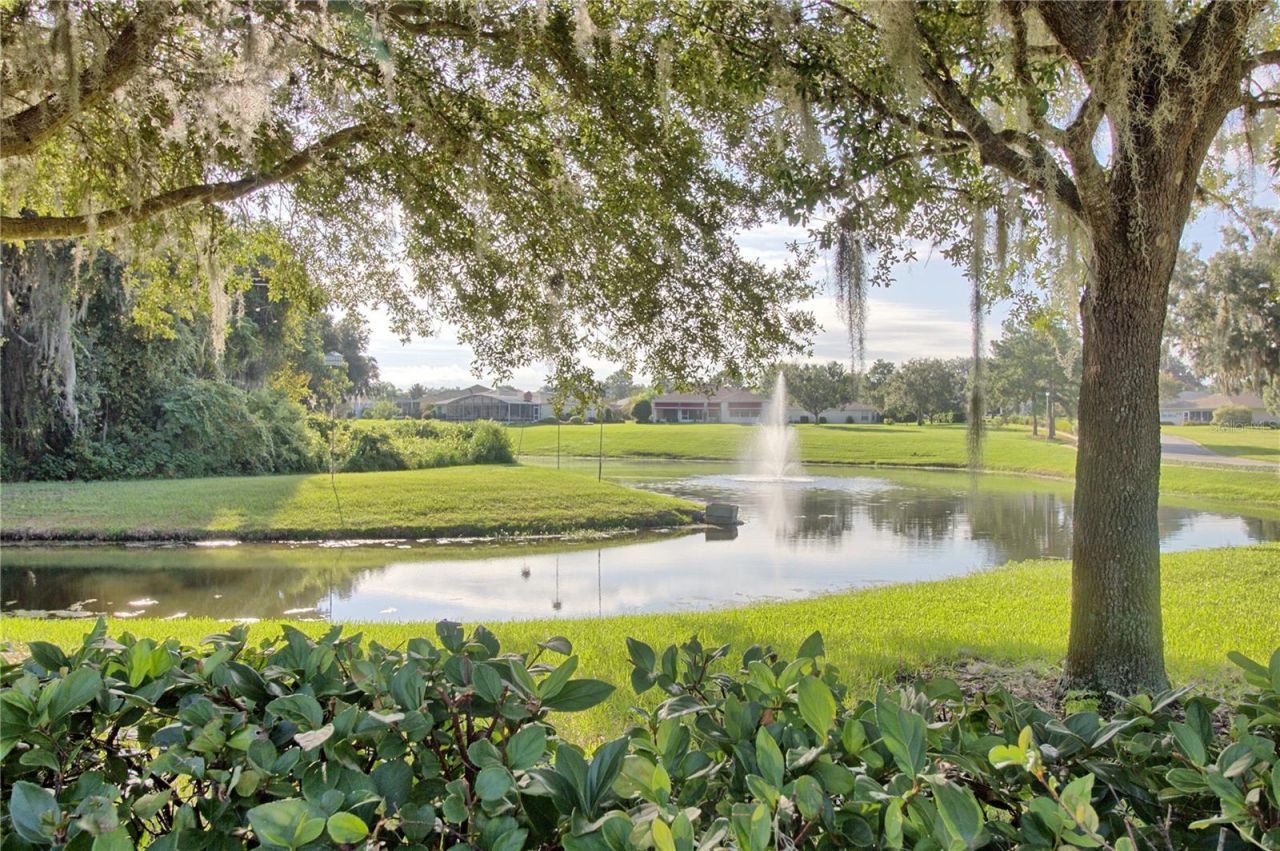 333 Ranchwood Drive, Leesburg, FL 34748 Photo