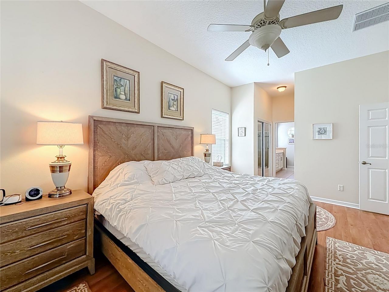 3723 Mulberry Grove Loop, Leesburg, FL 34748 Photo