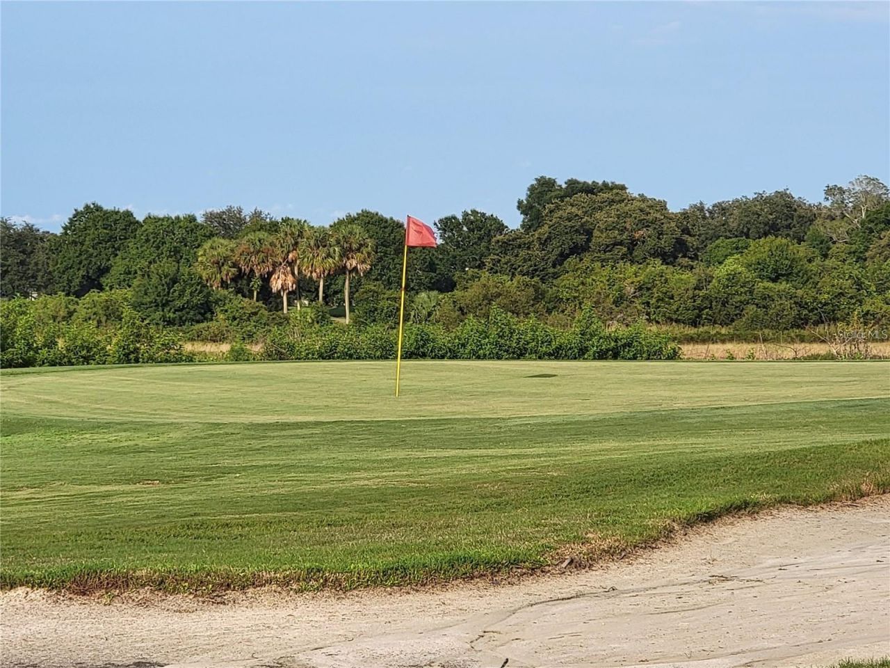 3723 Mulberry Grove Loop, Leesburg, FL 34748 Photo