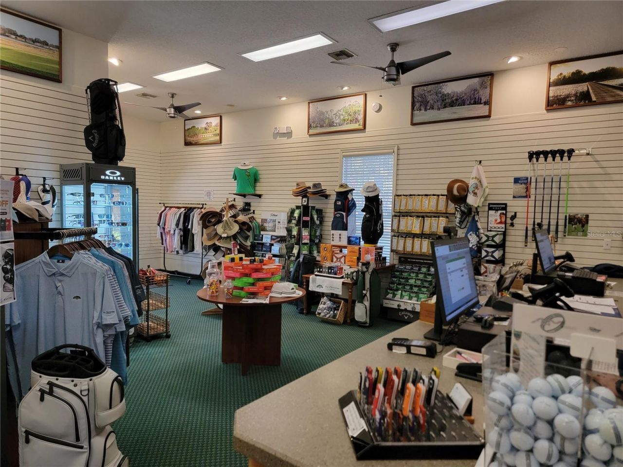 3723 Mulberry Grove Loop, Leesburg, FL 34748 Photo