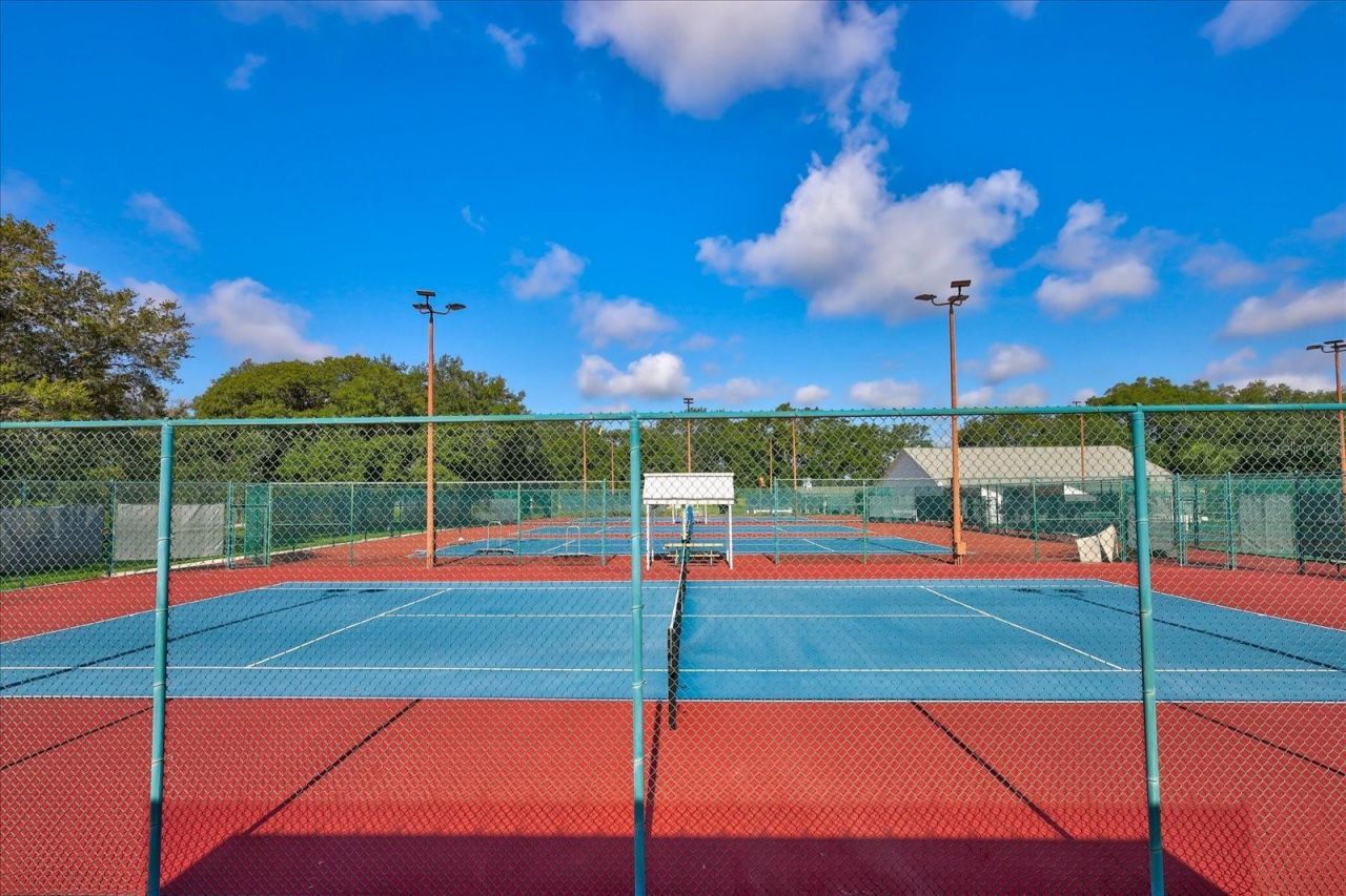 3723 Mulberry Grove Loop, Leesburg, FL 34748 Photo