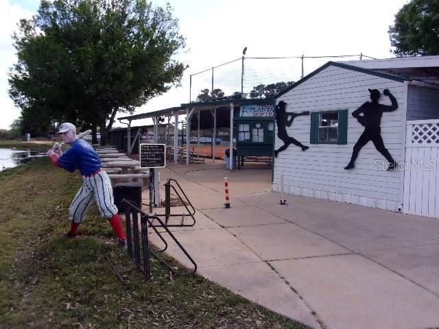 3723 Mulberry Grove Loop, Leesburg, FL 34748 Photo