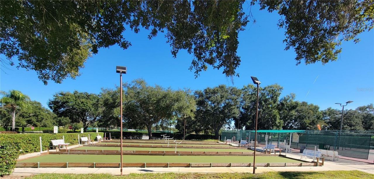 3723 Mulberry Grove Loop, Leesburg, FL 34748 Photo