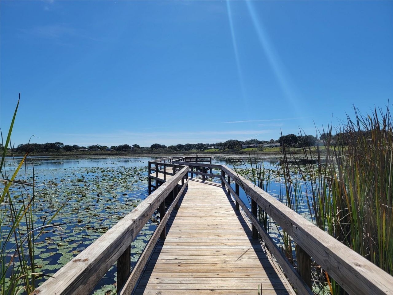 3723 Mulberry Grove Loop, Leesburg, FL 34748 Photo