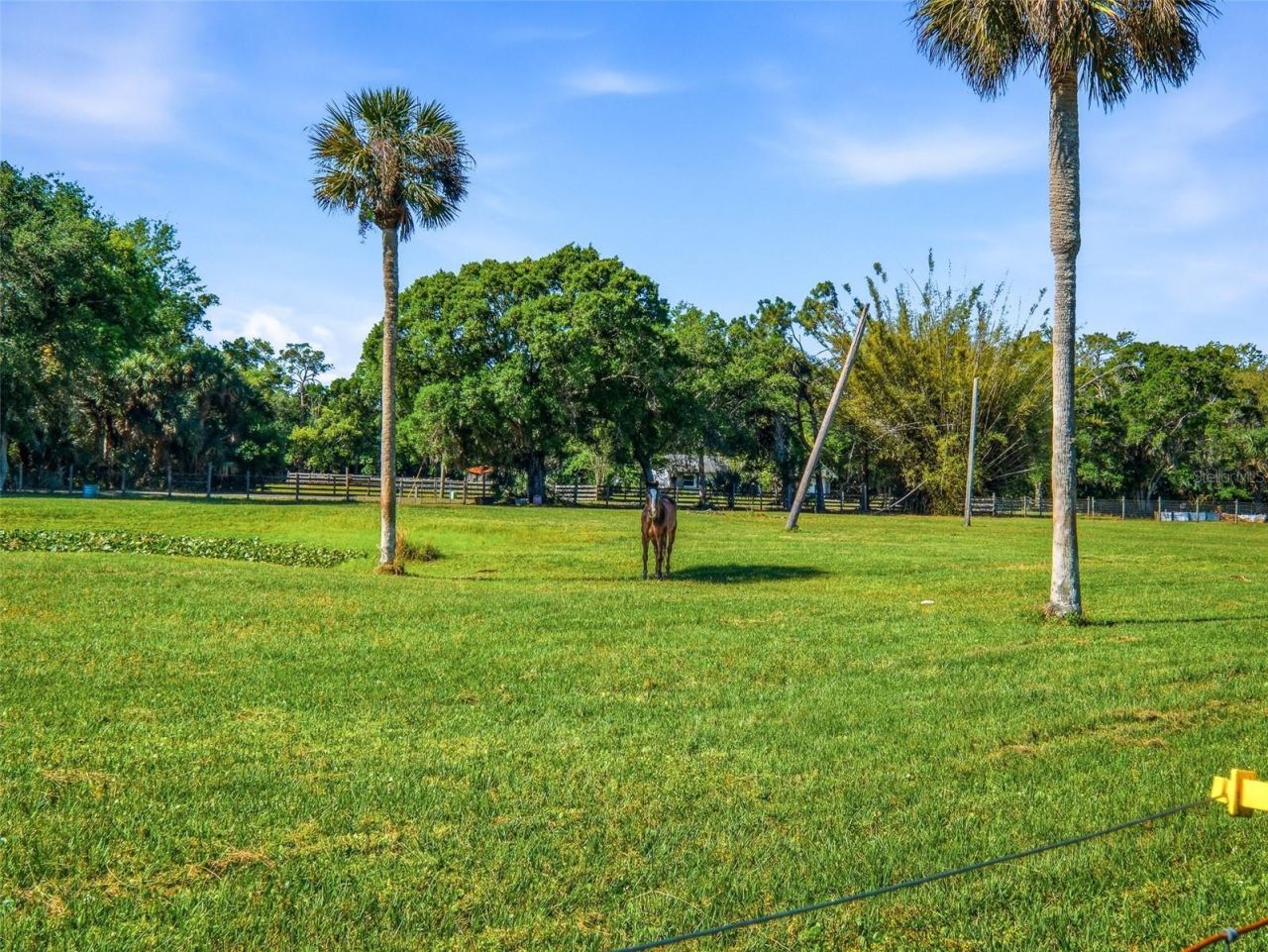 479 Maytown Road, Oak Hill, FL 32759 Photo