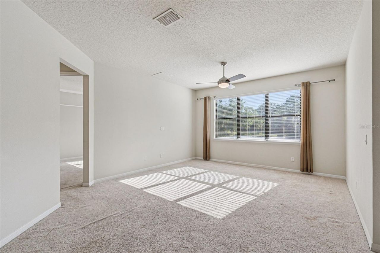 7137 Beek Street , Windermere, FL 34786 Photo