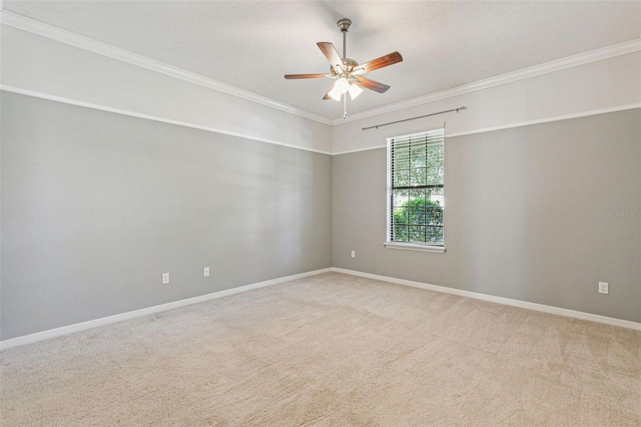 7137 Beek Street , Windermere, FL 34786 Photo