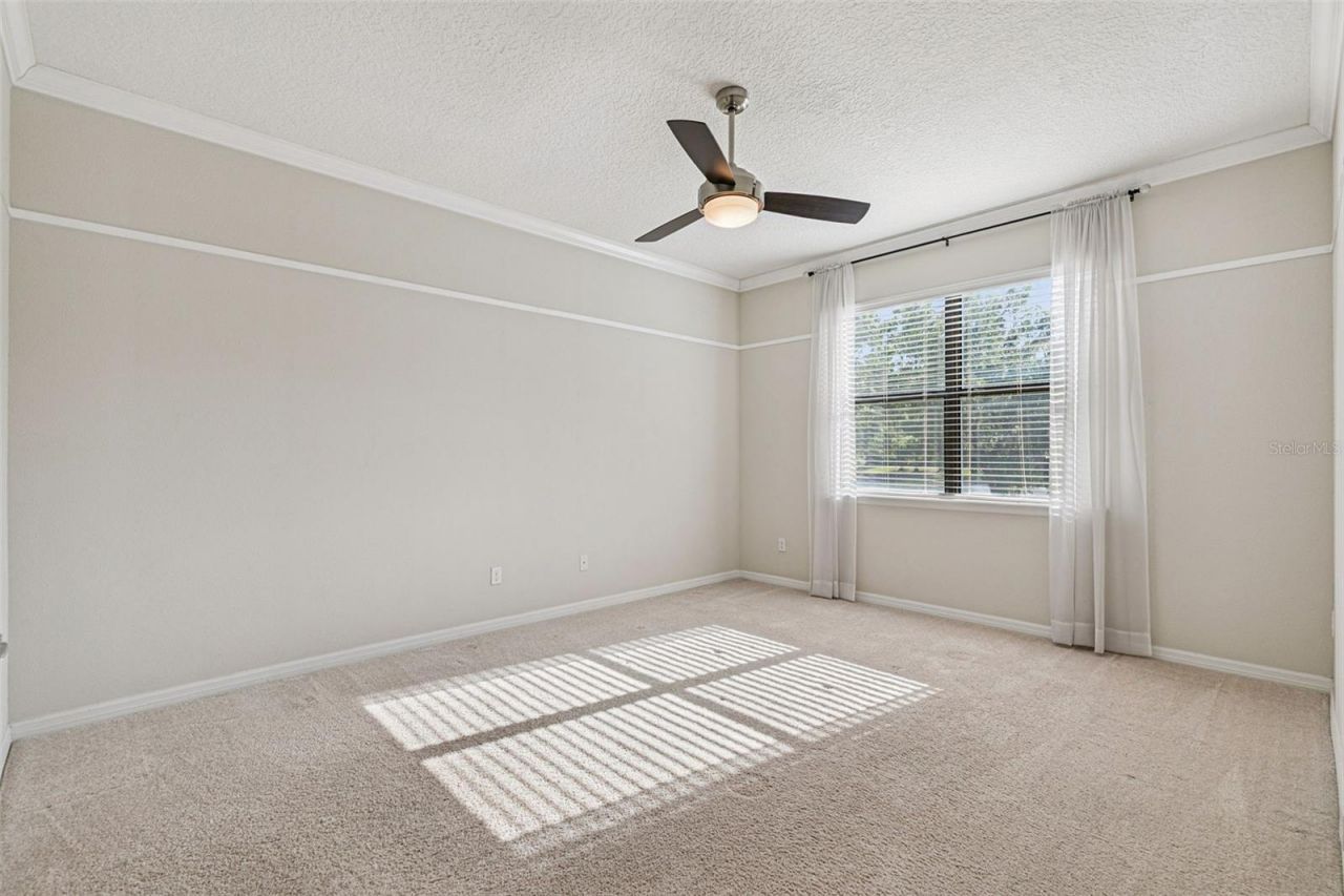 7137 Beek Street , Windermere, FL 34786 Photo