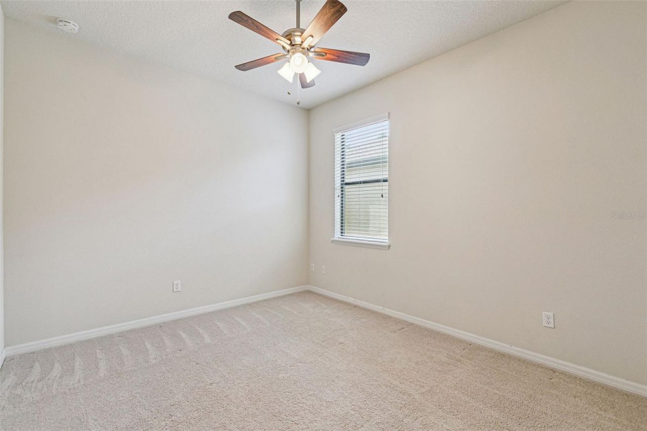 7137 Beek Street , Windermere, FL 34786 Photo