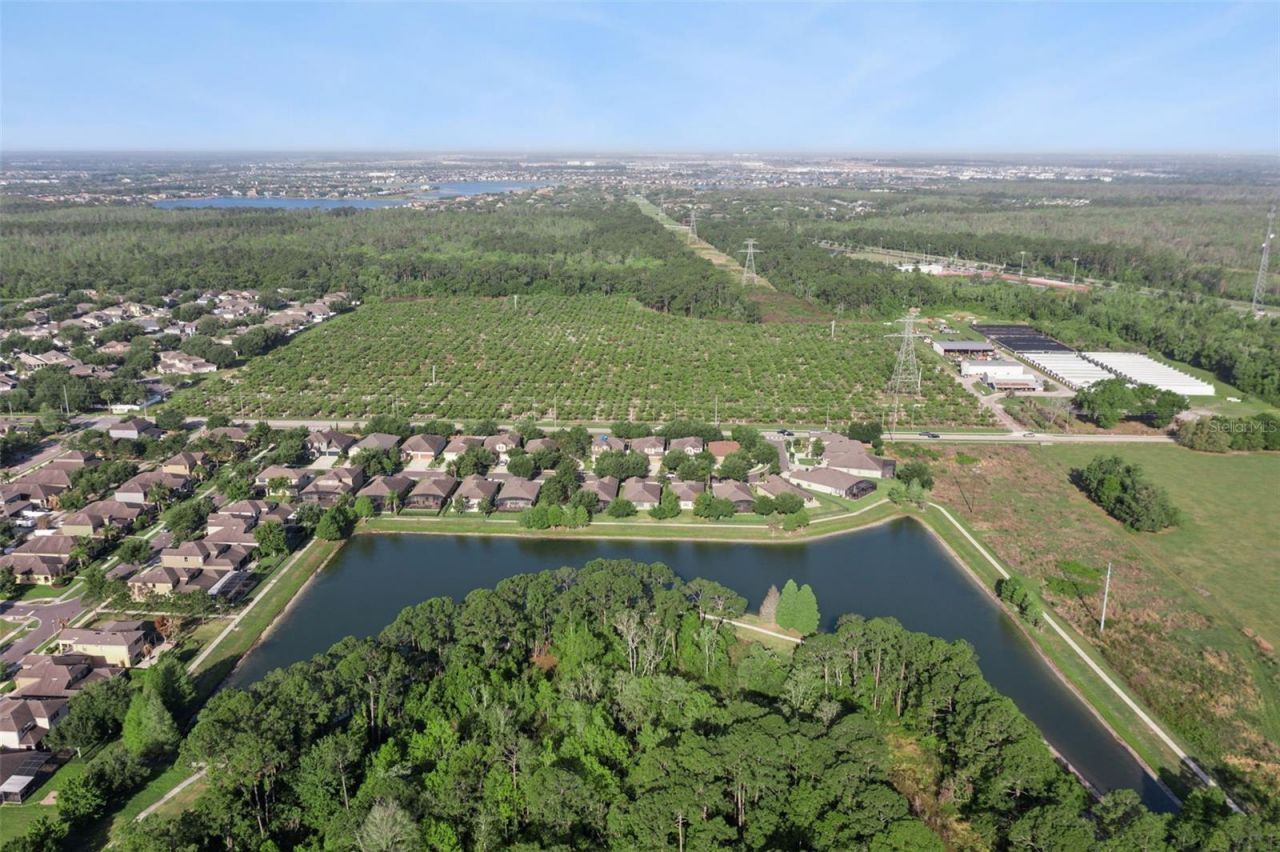 7137 Beek Street , Windermere, FL 34786 Photo