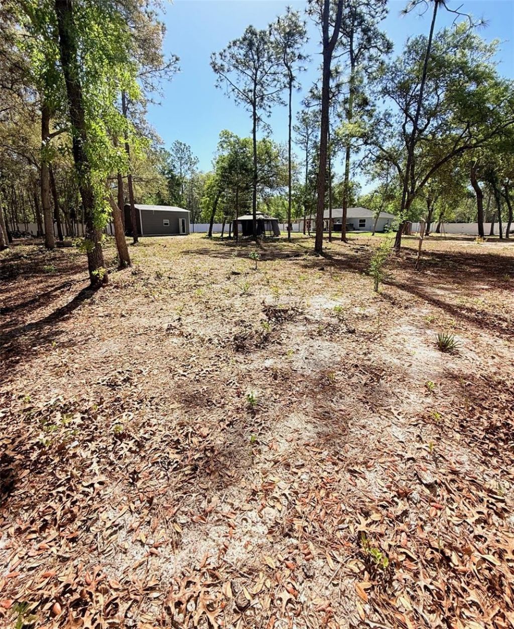 5620 SW 172nd Loop, Ocala, FL 34473 Photo