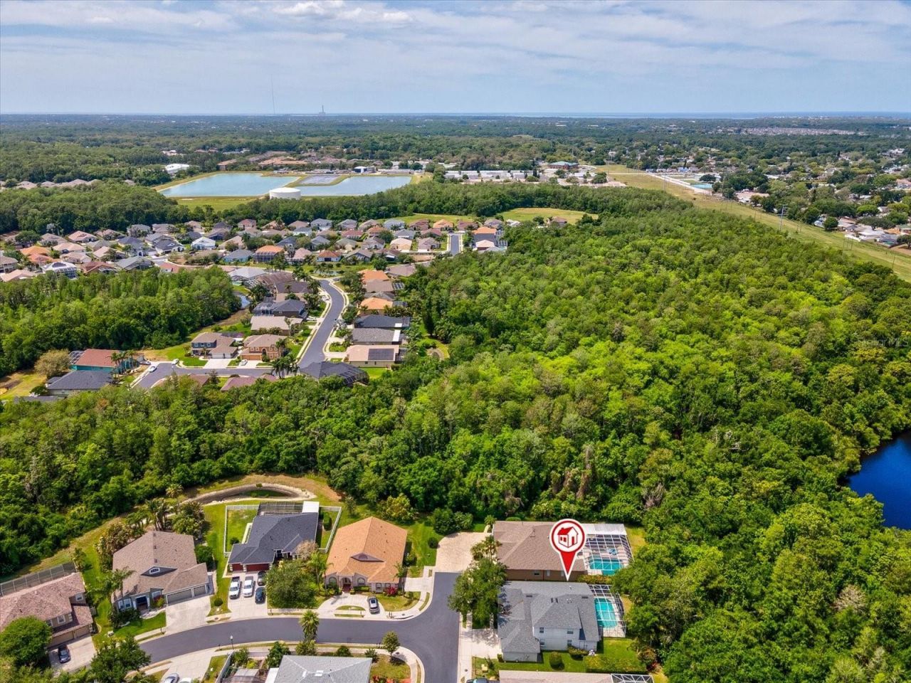 7935 Calindra Court, Trinity, FL 34655 Photo