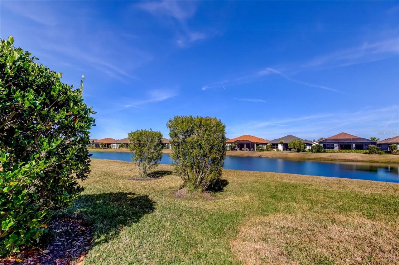 11257 Egeria Drive, Odessa, FL 33556 Photo