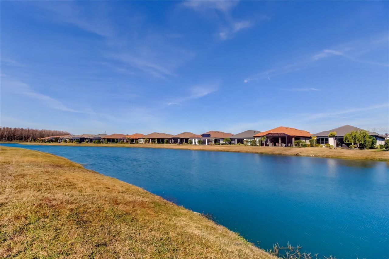 11257 Egeria Drive, Odessa, FL 33556 Photo