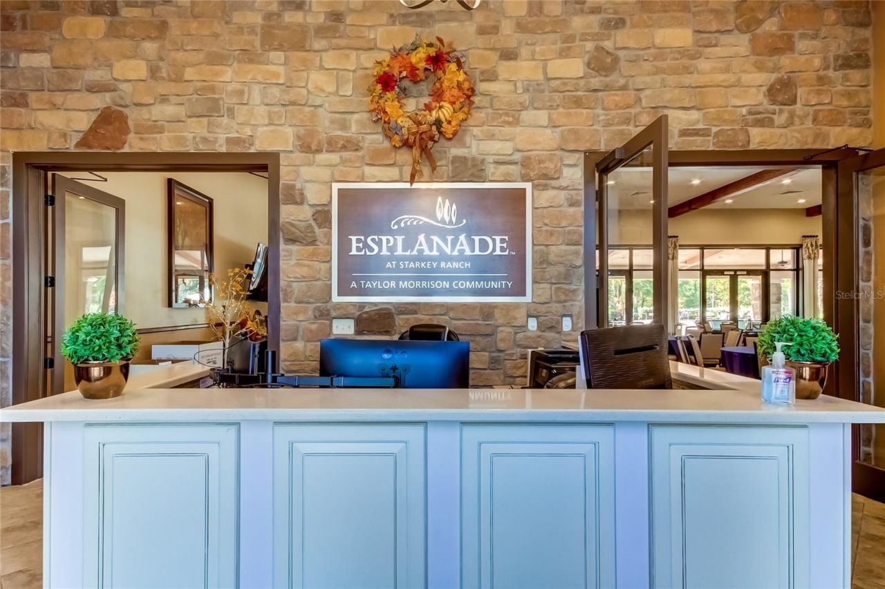 11257 Egeria Drive, Odessa, FL 33556 Photo